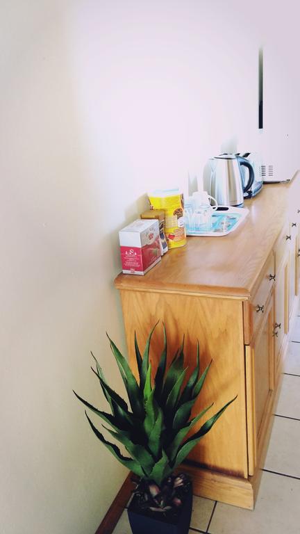 12 Greenpoint Guesthouse Cape Town Dış mekan fotoğraf